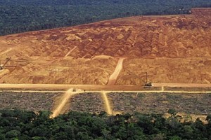 Destamento e degradação florestal registrados através de satélite. Foto: Divulgação/ Imazon