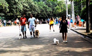 Carros estarão proibidos de circular no Parque do Ibirapuera no domingo. Foto: Mr.Boombust