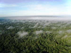 Vista aérea da floresta amazônica no Acre. Foto: © WWF-Brasil/Bruno Taitson