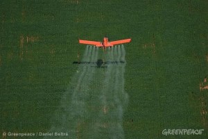 Avião espalha agrotóxicos em plantação em Sinop, Mato Grosso. Foto: © Greenpeace / Daniel Beltrá