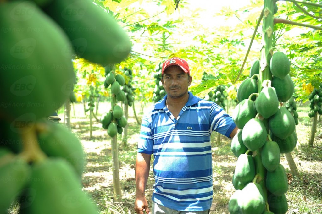O agricultor Raimundo Luciano Menezes mostra o fruto do seu trabalho durante os meses de seca na comunidade de São João Batista. Foto: Tomaz Silva/Agência Brasil