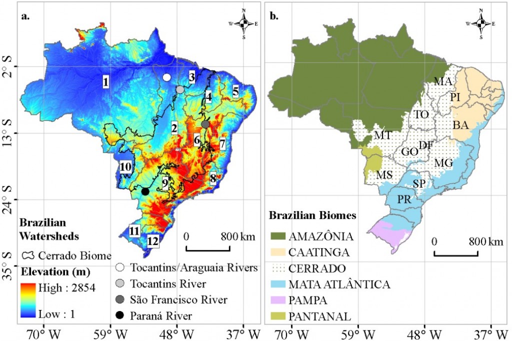 Figura da área do Bioma Cerrado, bacias hidrográficas estudadas (Tocantins/Araguaia, Tocantins, São Francisco e Paraná) e os estados brasileiros localizados na área de Cerrado.