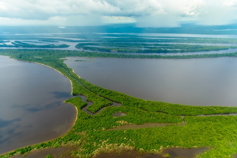 Vista aérea da Amazônia Brasileira. Foto: Shutterstock