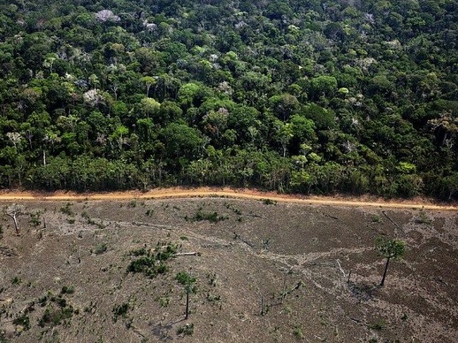 Área desmatada na Amazônia: emissões do setor em 2005 foram revistas no terceiro inventário. Foto: Marizilda Cruppe/Greenpeace 
