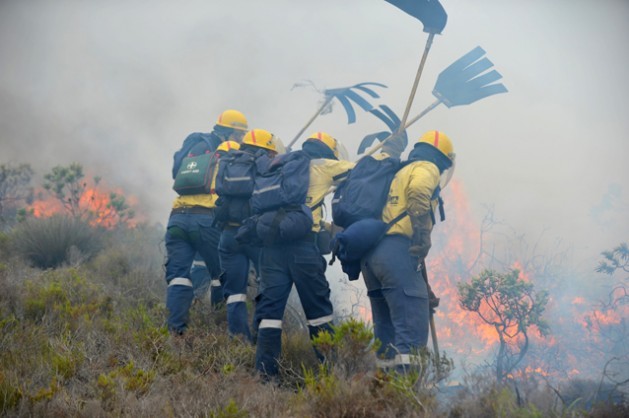 Bombeiros do WoF combatendo um incêndio em Muizenberg, perto da Cidade do Cabo, na África do Sul. Foto: IPS-WoF1 