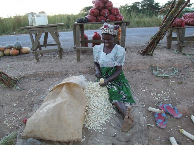Com mais apoio de extensão, as agricultoras podem aumentar sua produtividade e melhorar a segurança alimentar na África. Foto: Busani Bafana/IPS