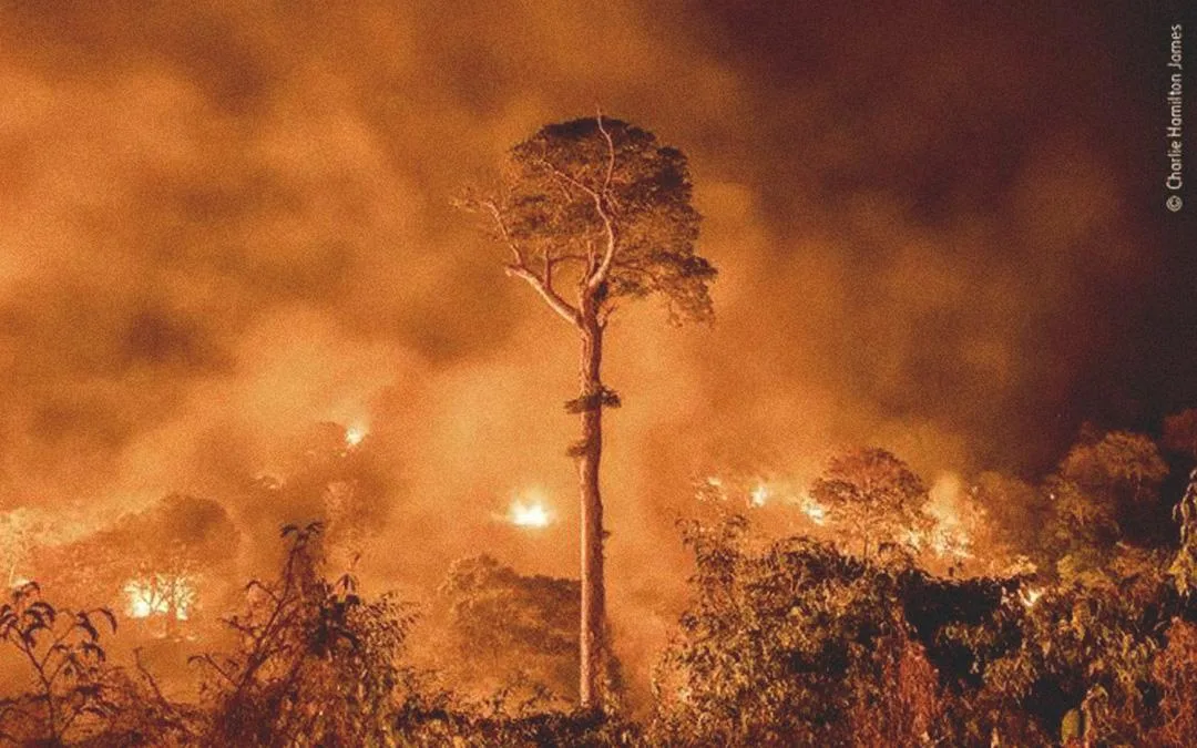 Veta Lula, não permita a venda do futuro por 30 moedas