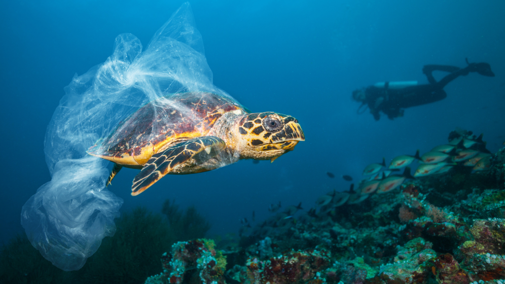 Brasil lança iniciativa para reduzir a poluição por plásticos no setor de alimentos e bebidas