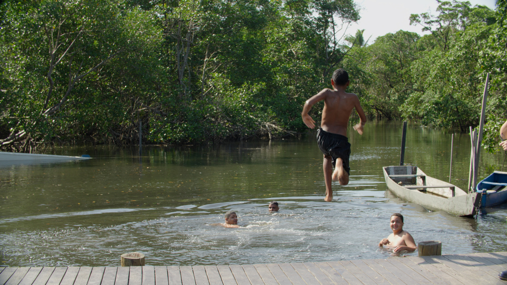 Bloom Ocean lança dia 12, em Vitória, documentário sobre relevância ambiental dos manguezais capixabas