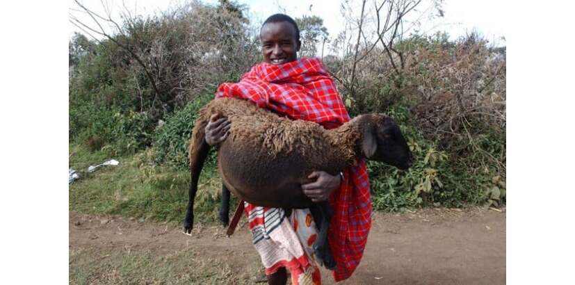 Comunidade indígena protege a natureza