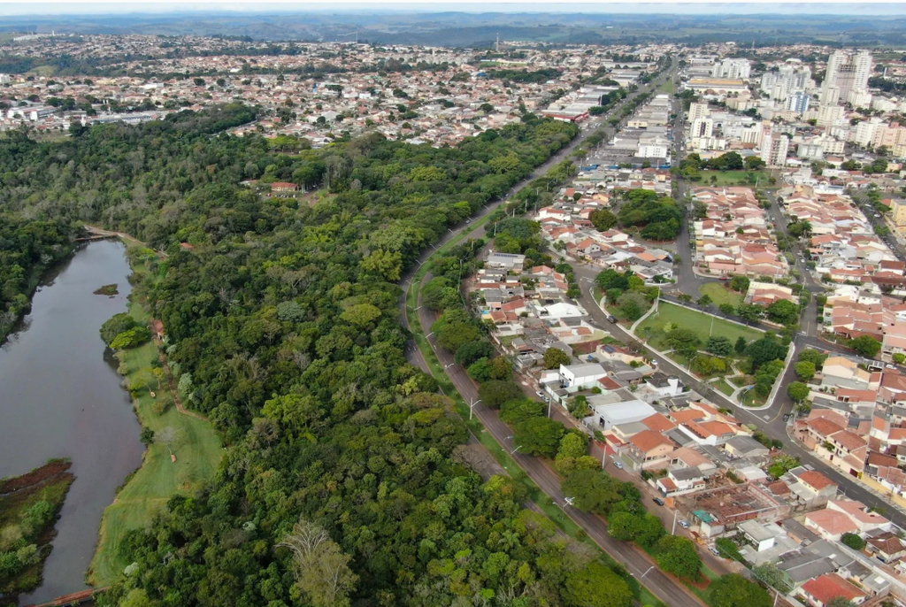 ((o))eco - Nativas não são regra em plano de arborização urbana climática