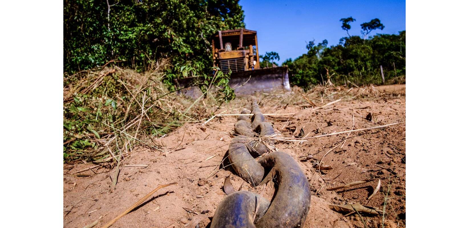 Como funciona o desmatamento na Amazônia