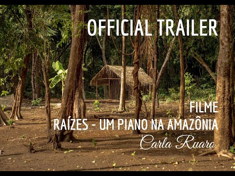 Raízes e a trama de um pé de piano que saiu para navegar na Amazônia