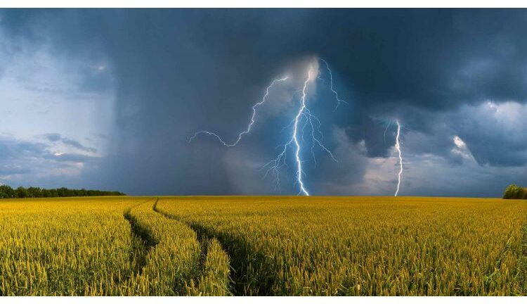 Washington Novaes: O clima esquenta, a agropecuária sofre