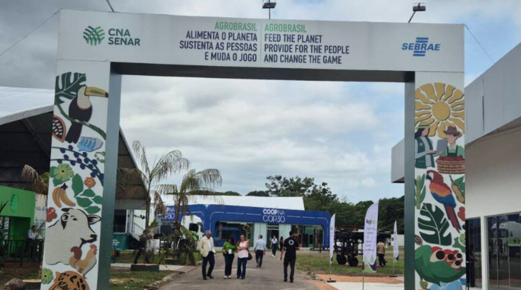 Alma Preta - ‘É uma afronta’: pecuaristas anunciam churrasco durante programação oficial da COP 30