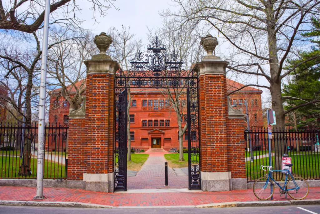 Suzano investe em educação para impulsionar a sustentabilidade