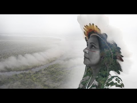 Guardiões da Floresta: a história e o cotidiano da vida na Amazônia