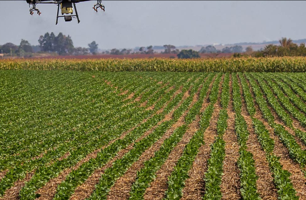 O Joio e O Trigo - Documento do agronegócio para a COP 30 ignora saúde humana e desmatamento