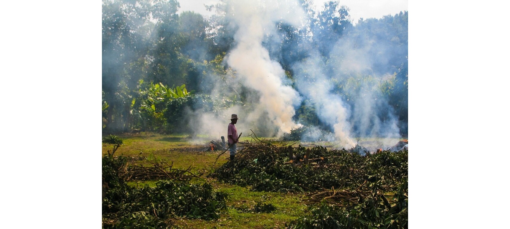  ‘Quem foi que tacou fogo aqui?’