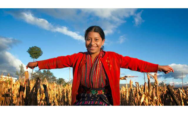 A falta que faz o saber indígena