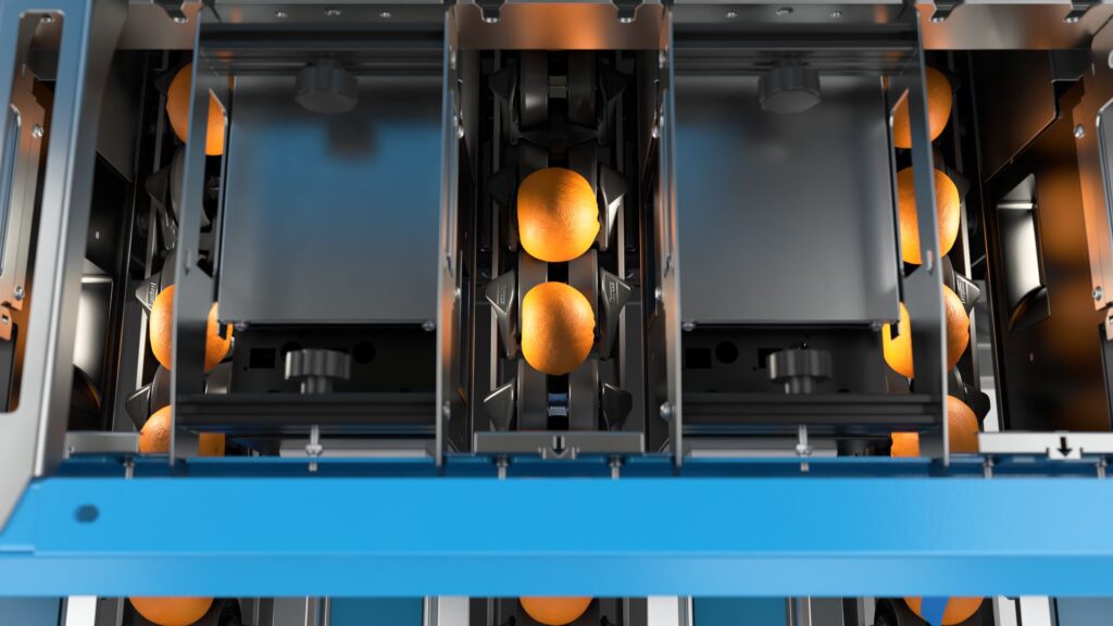 Soluções lucrativas para as embaladoras de cítricos