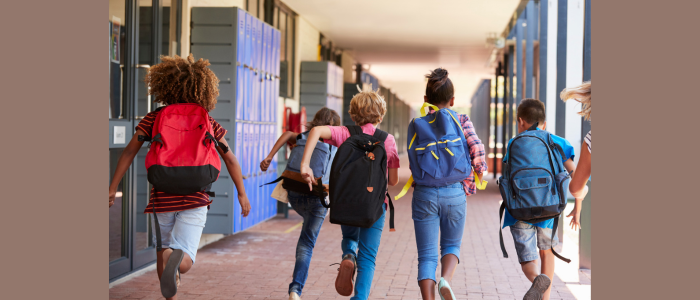 Dia da Educação: caminhos para a construção de uma escola antirracista