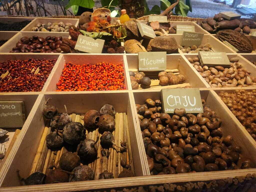 Casa da Floresta: onde a Amazônia ensina, acolhe e aponta caminhos para o futuro