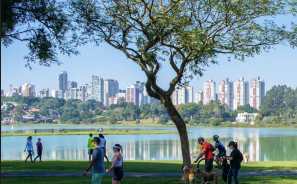 Incubadora de Projetos Solução Natureza conecta projetos urbanos com financiadores