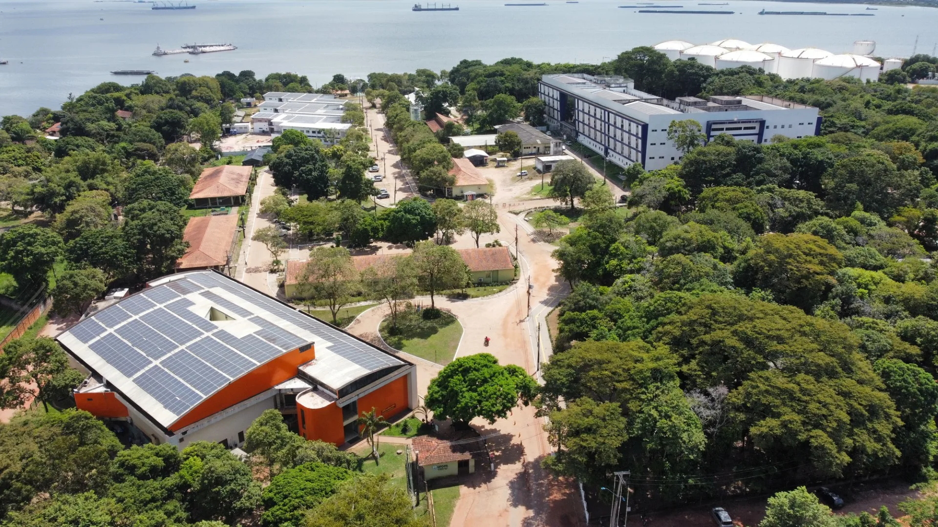 UFOPA mapeia 619 árvores em seu campus com potencial para parque urbano