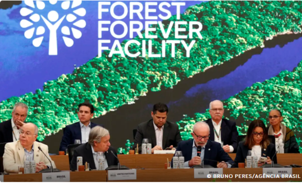 Fundo para florestas tropicais alcança US$ 5,5 bilhões