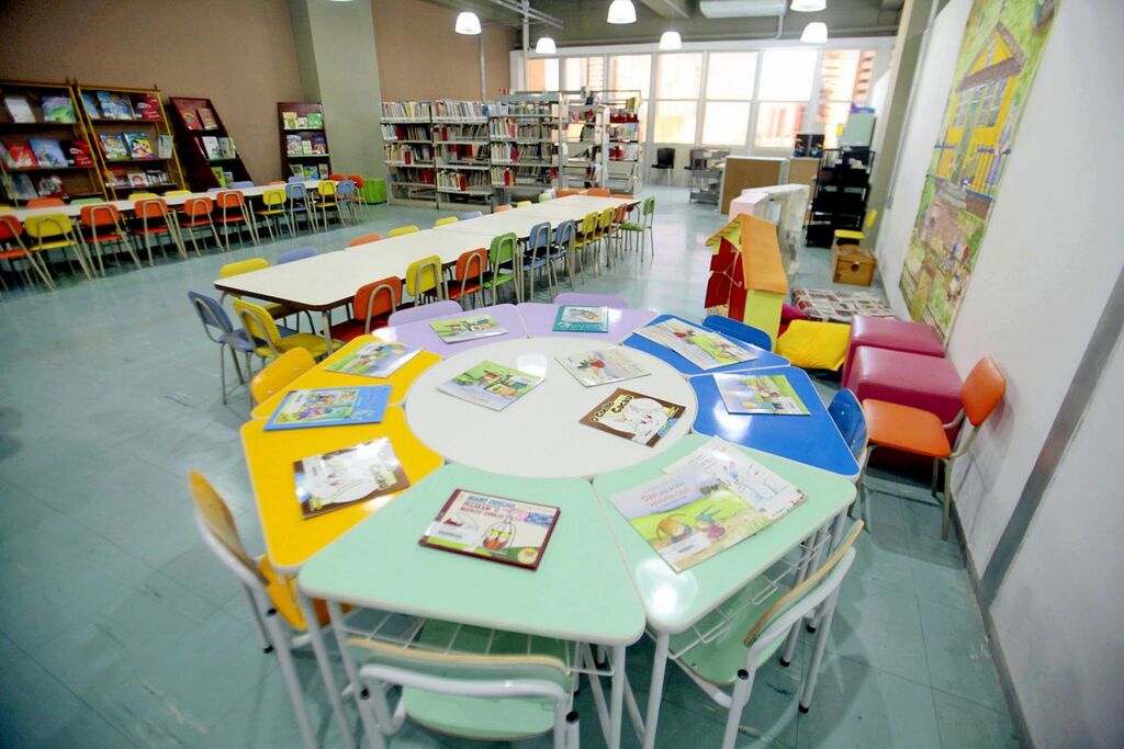 ONG Mais Diferenças realiza workshop para bibliotecas incorporarem acervo de livros acessíveis