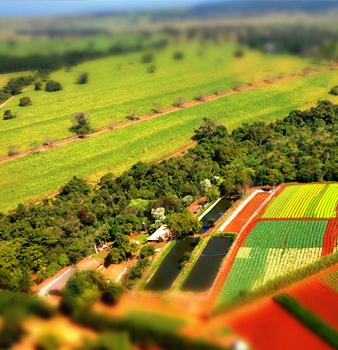 um dos primeiros plantios da Iniciativa Verde, realizados no Sítio São João, no mesmo município paulista. Foto: Divulgação/ Escola da Floresta