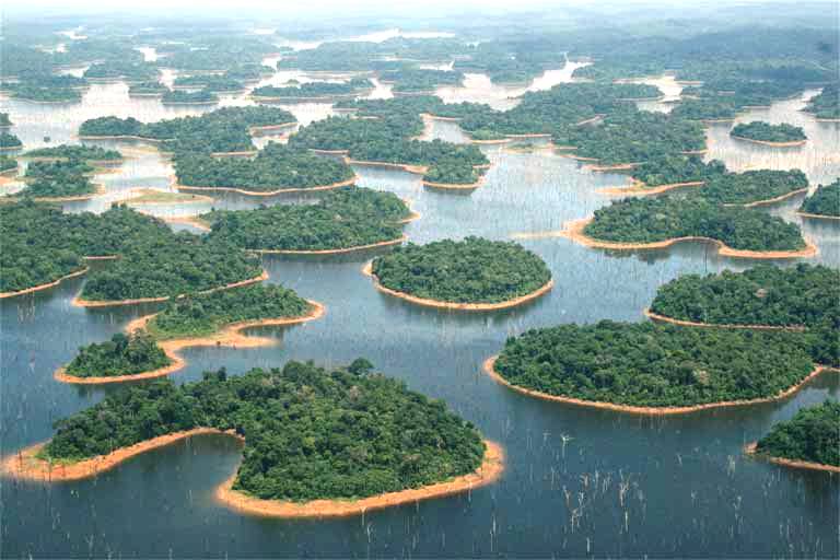 Ilhas da Reserva Biológica do Uatumã, formada por inundações associadas à Usina Hidrelétrica de Balbina na Amazônia. A perda de habitat e a fragmentação, em combinação com a emissão de gases de efeito estufa devido à submersão da vegetação e do solo, são apenas dois dos impactos que usinas tropicais causam no meio-ambiente. Um novo estudo alerta que a combinação de impactos de centenas de usinas na Amazônia coloca a biodiversidade da região em risco. Foto: © Carlos Peres